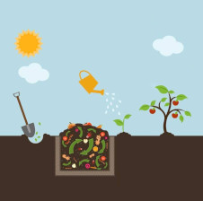 compost reciclare